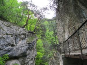 IMG_9011.JPG
