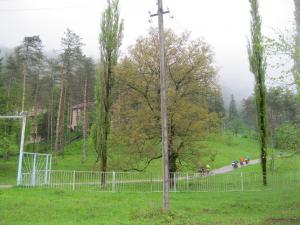 IMG_9213.JPG