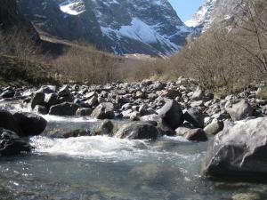 IMG_8960.JPG