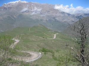 IMG_8989.JPG