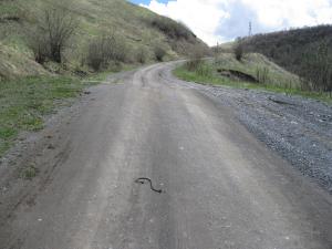IMG_8821.JPG