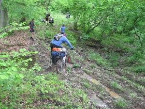 IMG_9037.JPG