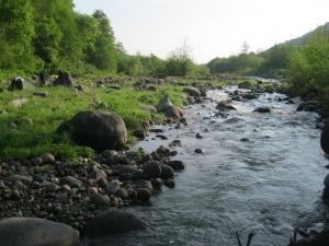 IMG_9060.JPG