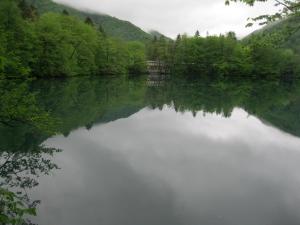 IMG_9241.JPG