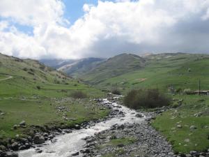 IMG_8894.JPG