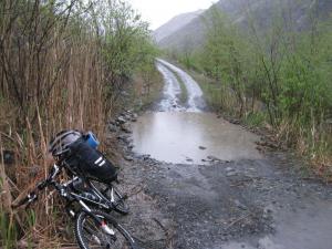 IMG_8768.JPG