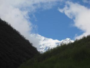 IMG_8789.JPG