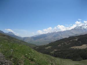 IMG_8982.JPG