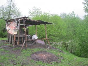 IMG_9094.JPG