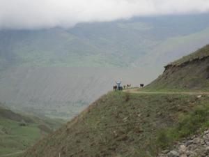 IMG_9191.JPG