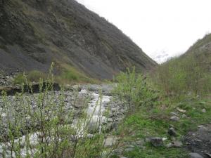 IMG_8784.JPG