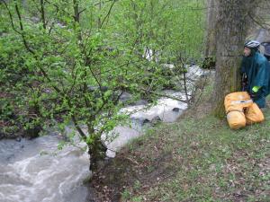 IMG_8763.JPG