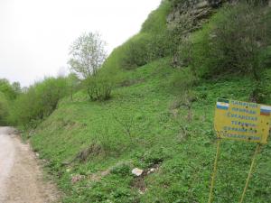IMG_9134.JPG