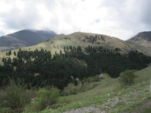 IMG_8807.JPG