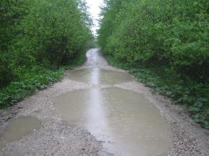 IMG_9093.JPG