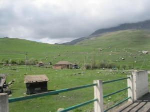 IMG_8895.JPG
