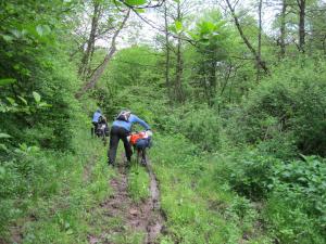 IMG_9034.JPG