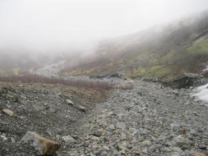 IMG_8937.JPG