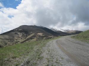 IMG_8811.JPG