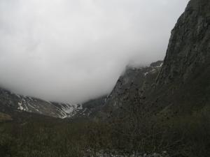 IMG_8915.JPG