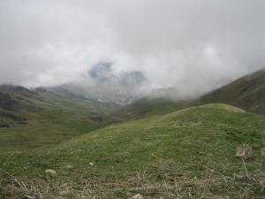 IMG_9184.JPG