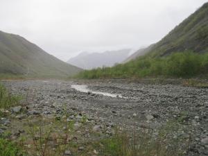IMG_8770.JPG