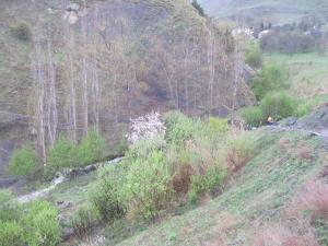 IMG_8753.JPG