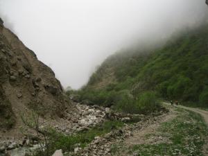 IMG_9154.JPG