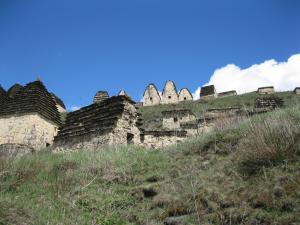 IMG_8831.JPG