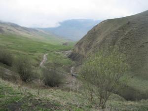 IMG_9187.JPG