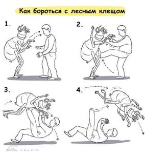 клещ-прикольные-схемы-30696.jpeg