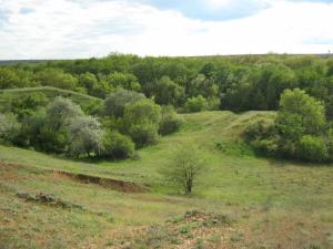 IMG_3349.JPG