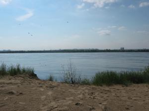 IMG_3409.JPG