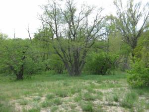 IMG_3344.JPG