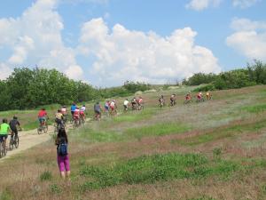 IMG_5219M.JPG