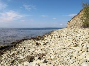 IMG_5061M.JPG