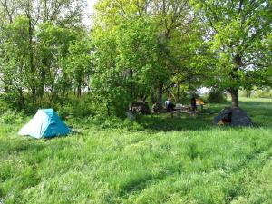 IMG_5117M.JPG