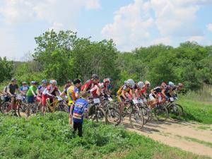 IMG_5217M.JPG