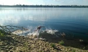 post-1605-0-44676900-1494076965_thumb.jpg