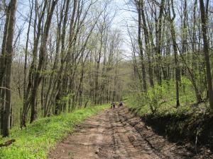 IMG_2066.JPG