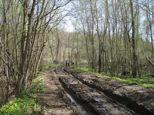 IMG_1977.JPG