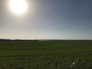 IMG_6769.JPG