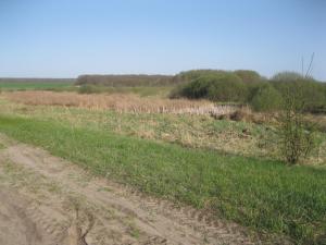 IMG_2144.JPG