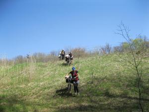 IMG_1965.JPG