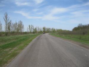 IMG_2305.JPG