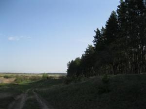 IMG_2180.JPG