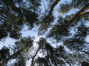 IMG_2182.JPG