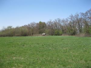 IMG_2268.JPG