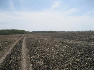 IMG_2267.JPG