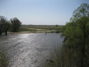 IMG_1958.JPG